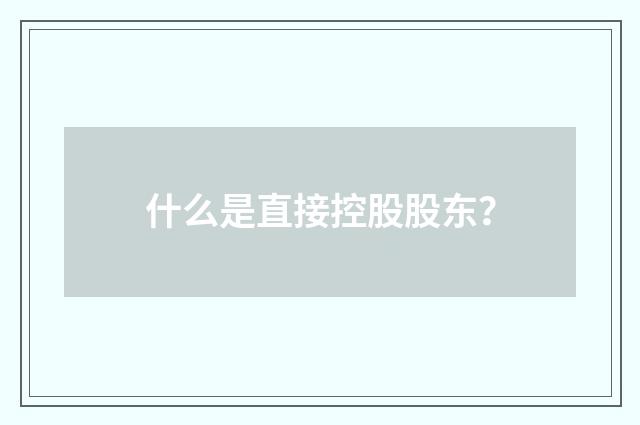 什么是直接控股股东？