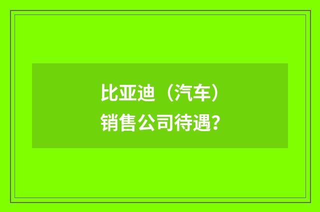比亚迪（汽车）销售公司待遇？