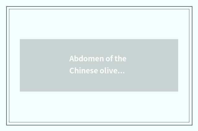 Abdomen of the Chinese olive pig that stew + how much should Chinese olive put?