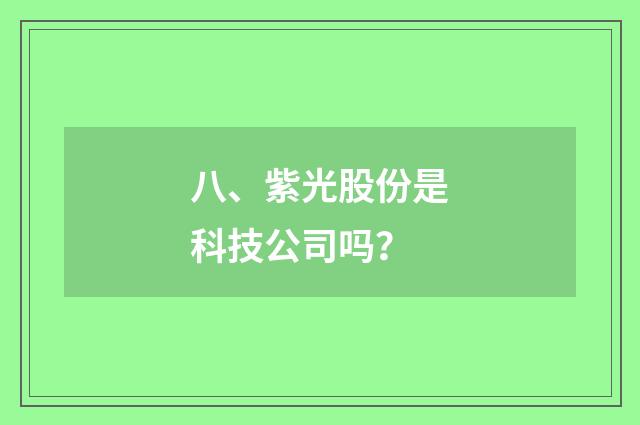 八、紫光股份是科技公司吗？