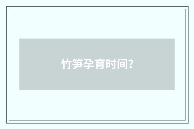 竹笋孕育时间？