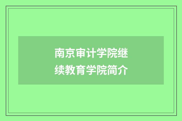 南京审计学院继续教育学院简介
