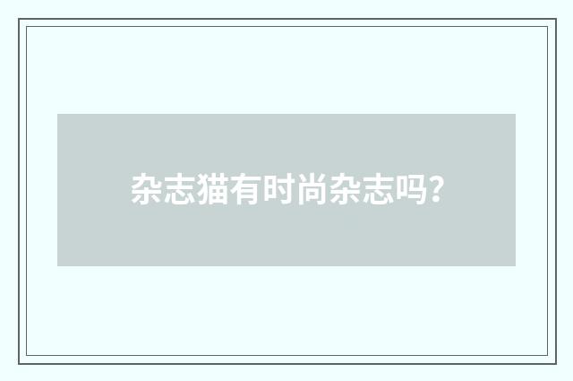 杂志猫有时尚杂志吗?