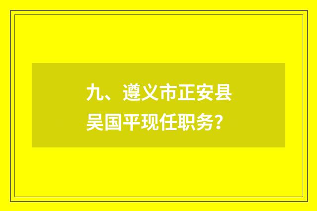九、遵义市正安县吴国平现任职务？