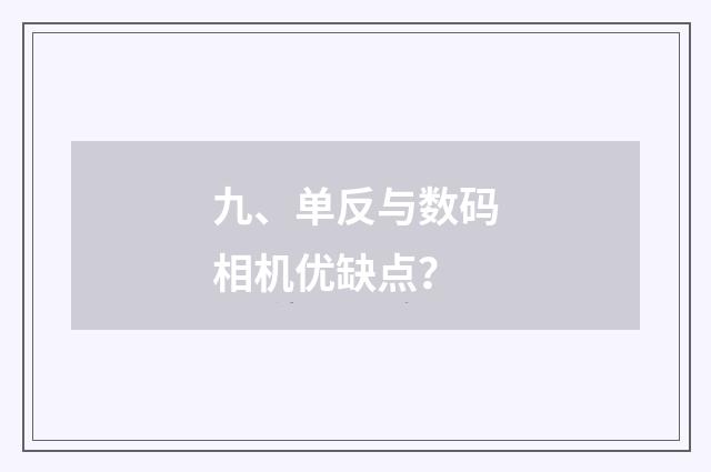 九、单反与数码相机优缺点?
