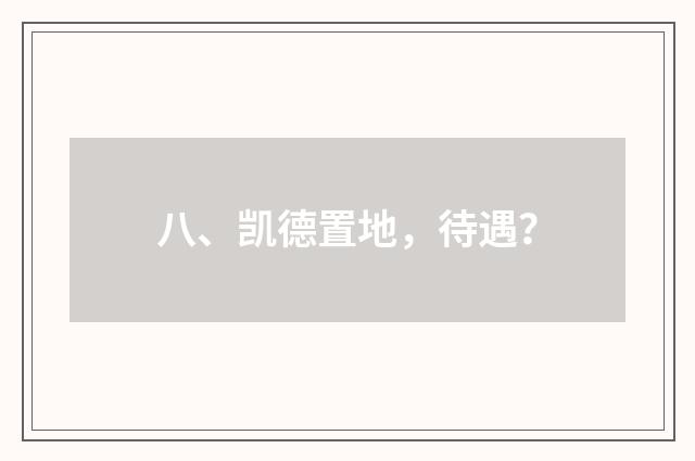 八、凯德置地，待遇？