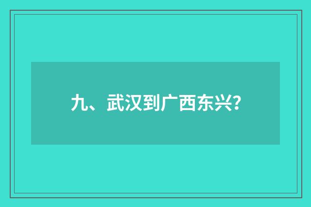 九、武汉到广西东兴？