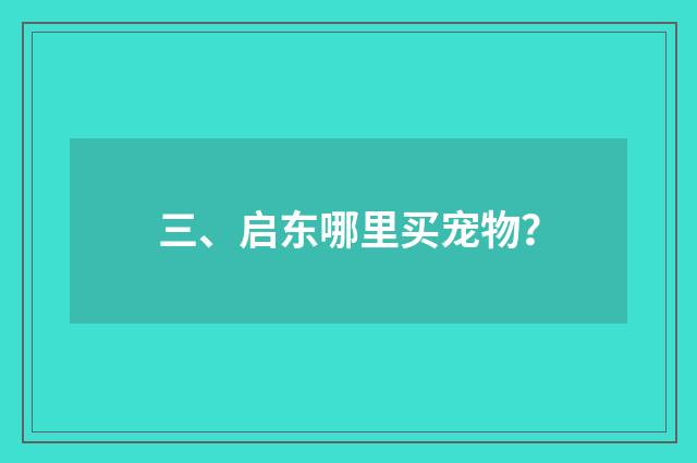 三、启东哪里买宠物？