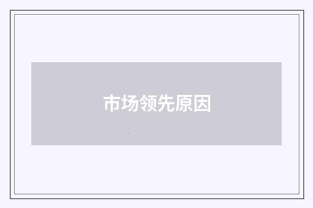 市场领先原因