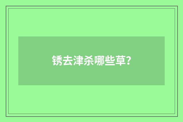 锈去津杀哪些草？