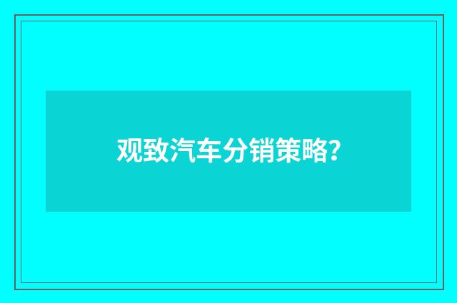 观致汽车分销策略?