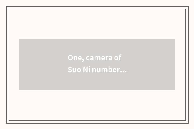 One, camera of Suo Ni number, computer connection?
