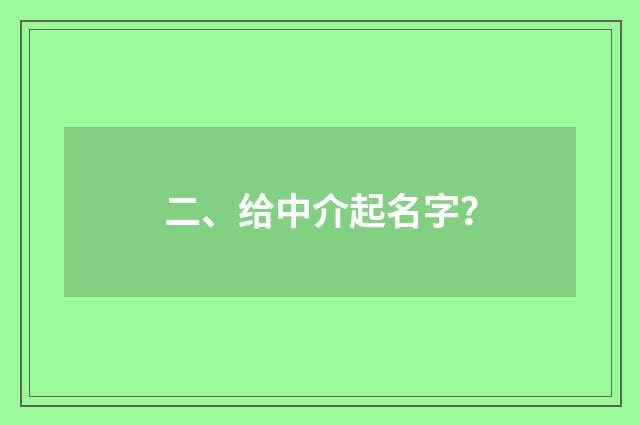二、给中介起名字？