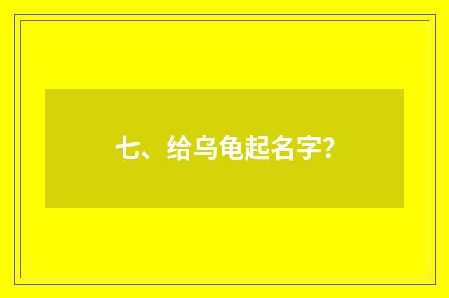 七、给乌龟起名字?