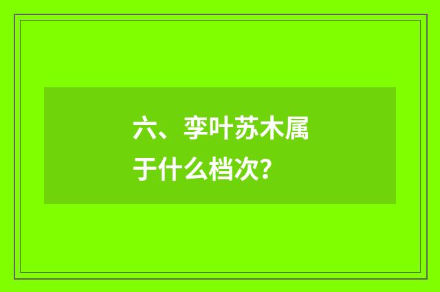 六、孪叶苏木属于什么档次？