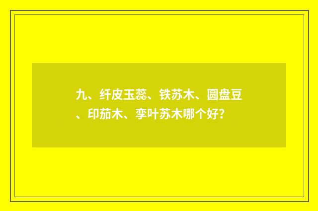 九、纤皮玉蕊、铁苏木、圆盘豆、印茄木、孪叶苏木哪个好？