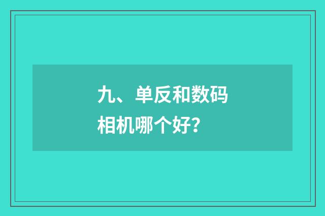 九、单反和数码相机哪个好?