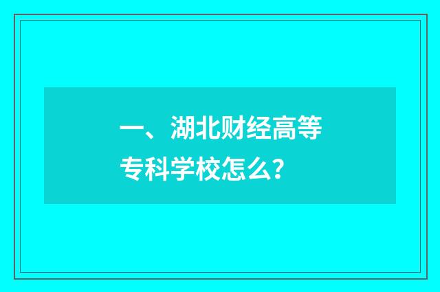 一、湖北财经高等专科学校怎么？