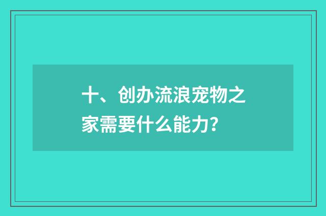十、创办流浪宠物之家需要什么能力?