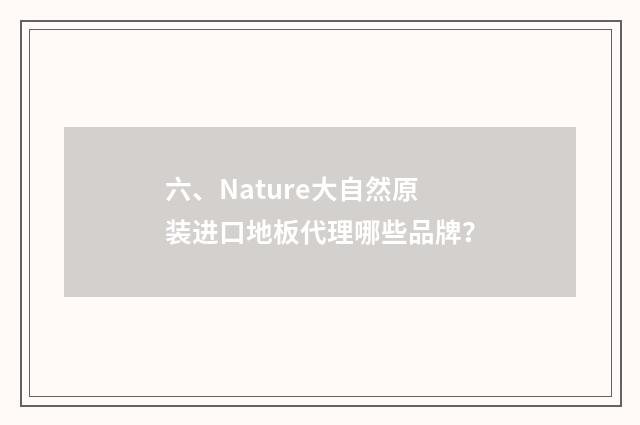 六、Nature大自然原装进口地板代理哪些品牌？