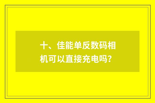 十、佳能单反数码相机可以直接充电吗?