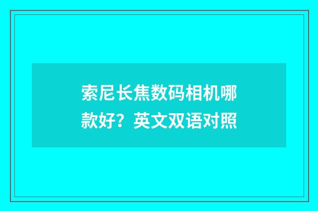 索尼长焦数码相机哪款好?英文双语对照