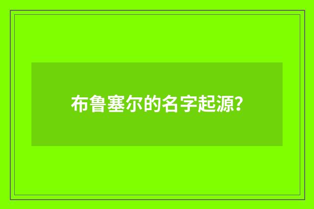 布鲁塞尔的名字起源?