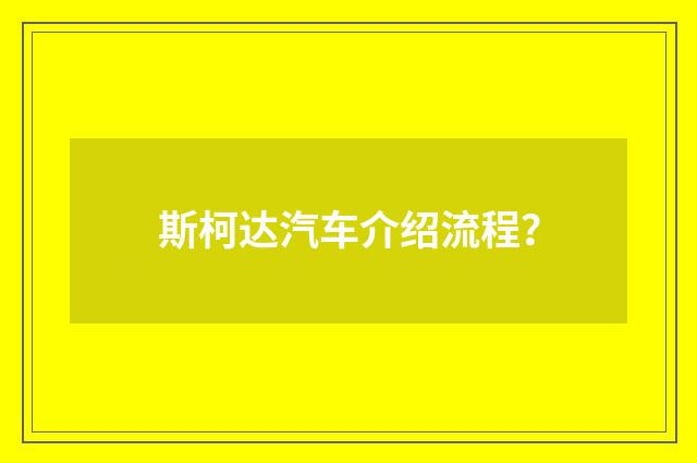 斯柯达汽车介绍流程？
