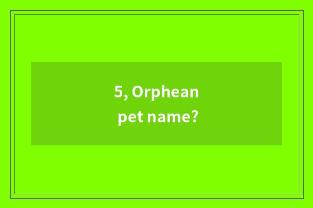 5, Orphean pet name?