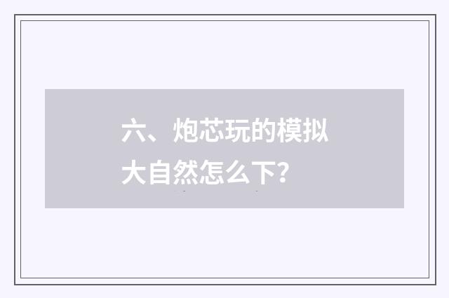 六、炮芯玩的模拟大自然怎么下？