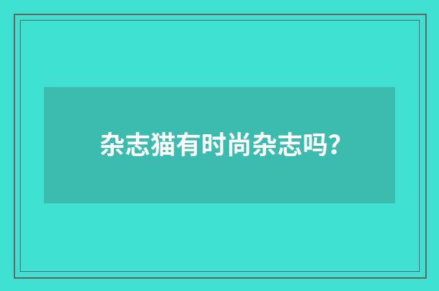 杂志猫有时尚杂志吗？