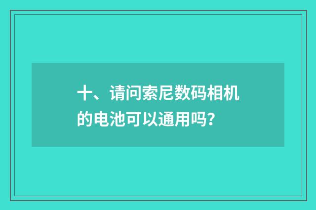 十、请问索尼数码相机的电池可以通用吗?