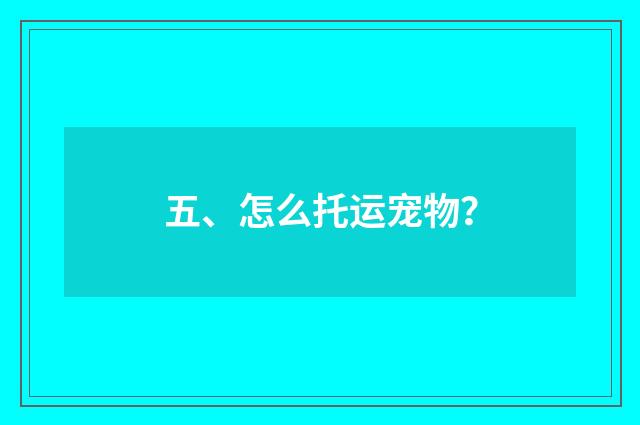 五、怎么托运宠物?