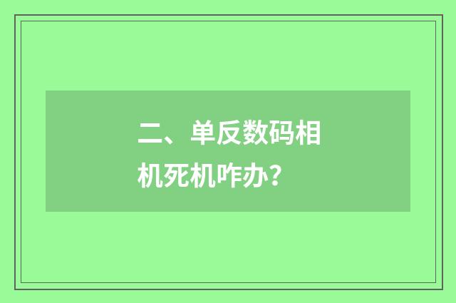 二、单反数码相机死机咋办？