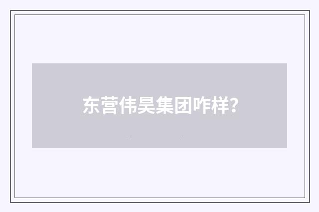 东营伟昊集团咋样？