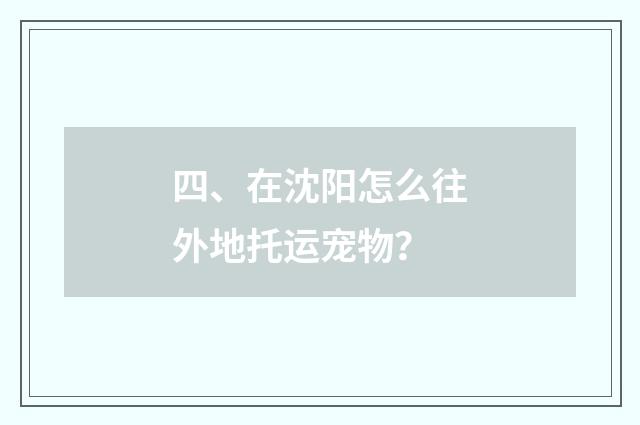 四、在沈阳怎么往外地托运宠物?