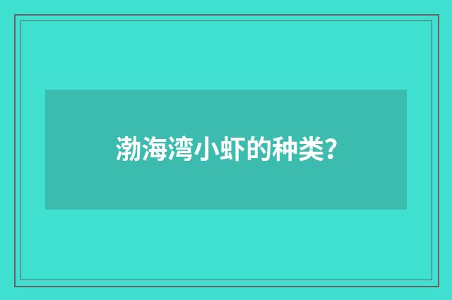 渤海湾小虾的种类？
