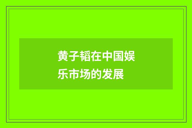 黄子韬在中国娱乐市场的发展