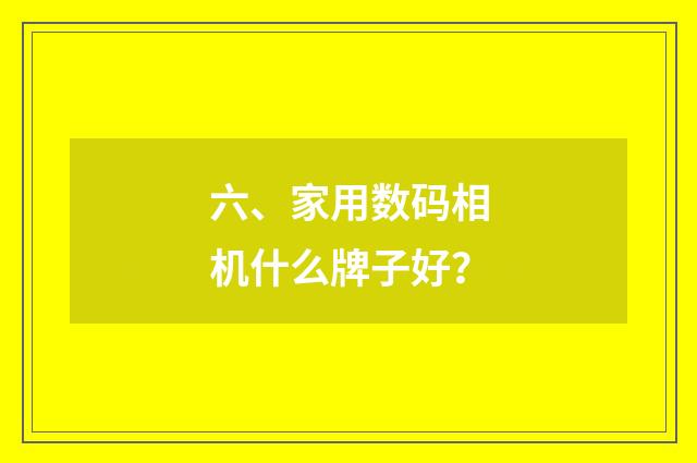 六、家用数码相机什么牌子好？