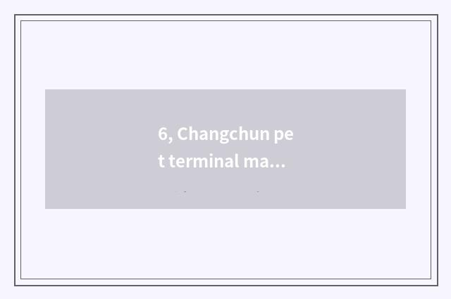 6, Changchun pet terminal market?