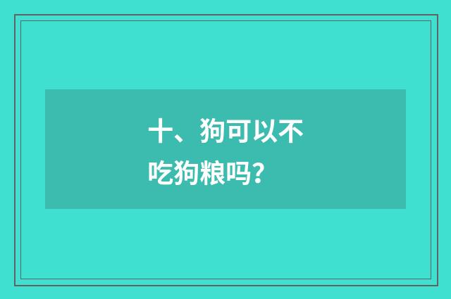 十、狗可以不吃狗粮吗？