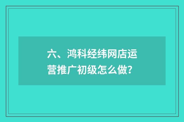 六、鸿科经纬网店运营推广初级怎么做？