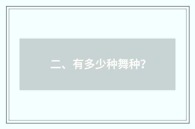 二、有多少种舞种？
