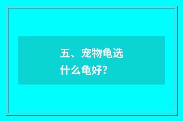 五、宠物龟选什么龟好？