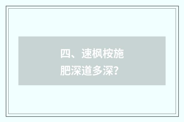 四、速枫桉施肥深道多深？