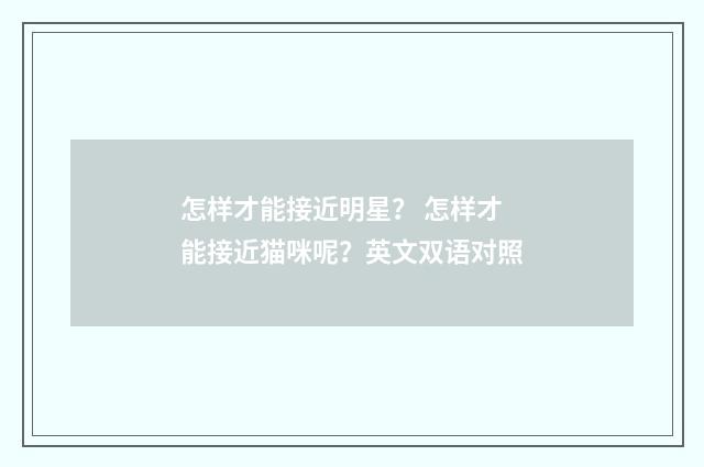 怎样才能接近明星？ 怎样才能接近猫咪呢？英文双语对照