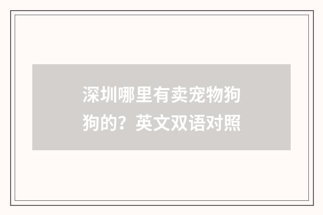 深圳哪里有卖宠物狗狗的？英文双语对照