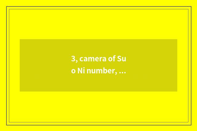 3, camera of Suo Ni number, computer connection?