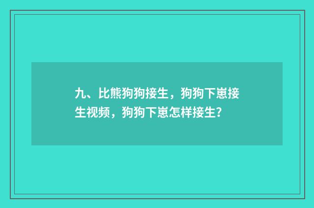 九、比熊狗狗接生,狗狗下崽接生视频,狗狗下崽怎样接生?