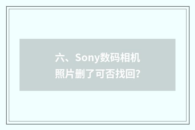 六、Sony数码相机照片删了可否找回?